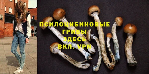 меф Тавда