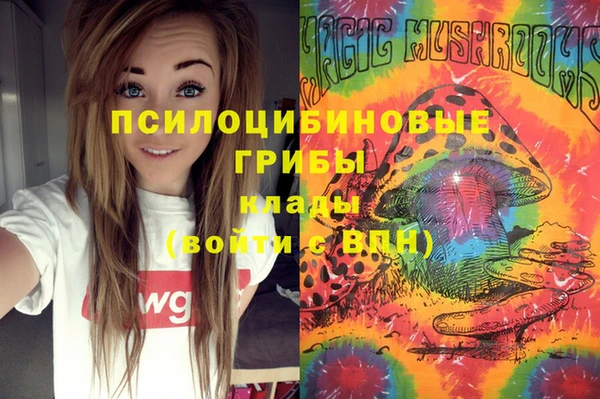 сатива Тайга