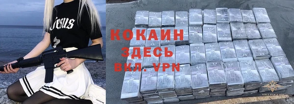 сатива Тайга