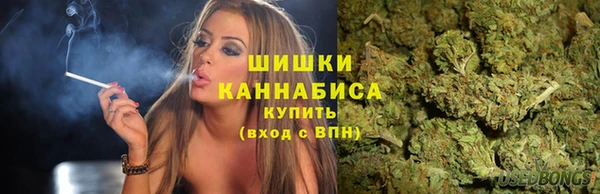 сатива Тайга