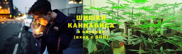 меф Тавда