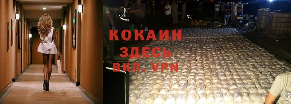 меф Тавда